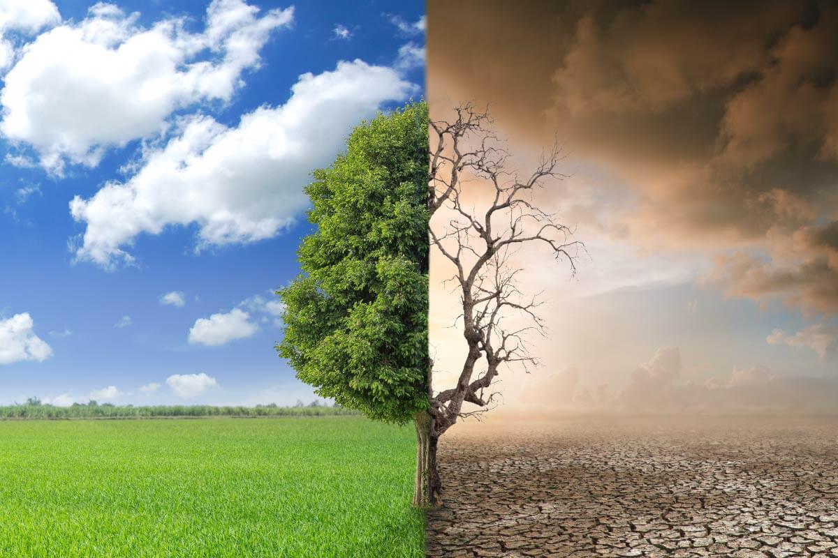 氣候變遷的影響