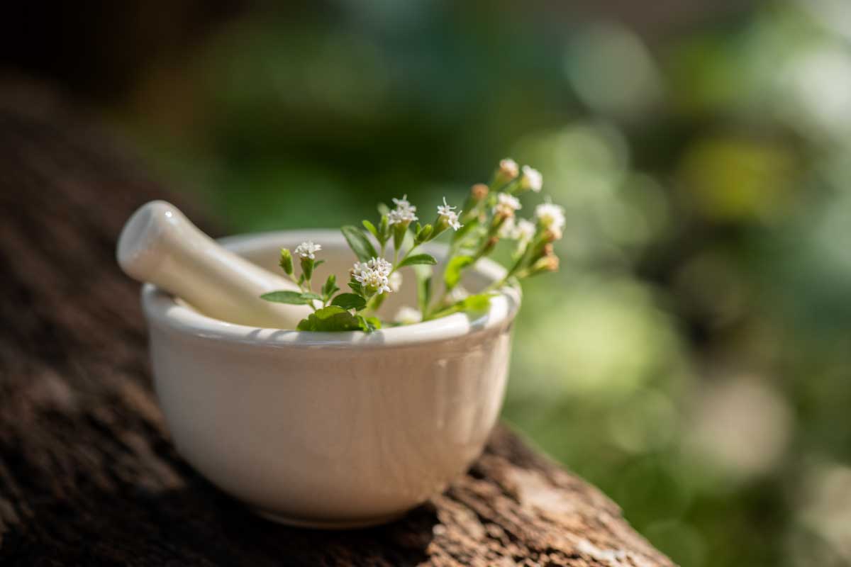 脂漏性皮膚炎藥膏推薦
